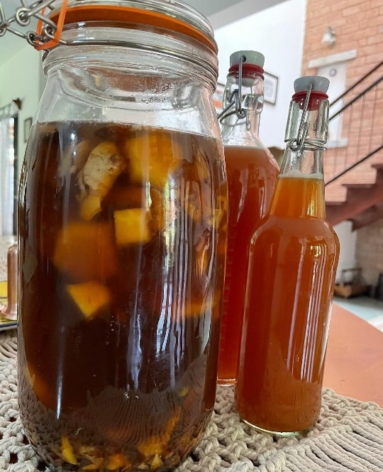 Tepache - Fermented Pineapple Drink Recipe