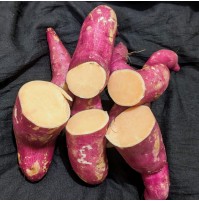 Sweet Potato - Orange Inside (From Odisha, Natural)