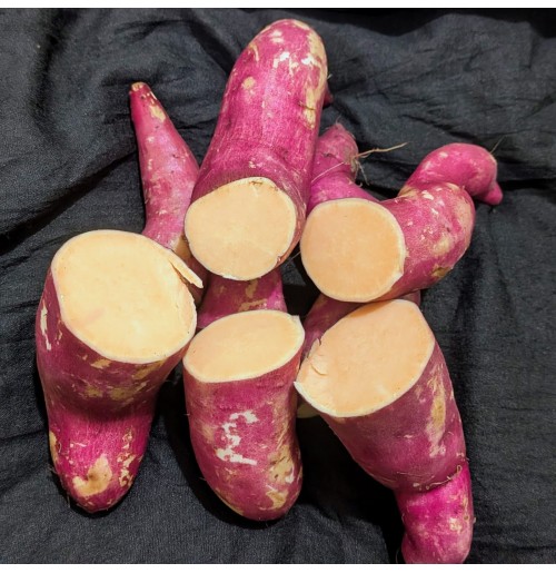 Sweet Potato - Orange Inside (From Odisha, Natural)