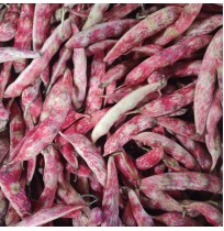 Butter Beans (Lima Beans)