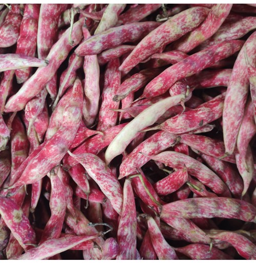 Butter Beans (Lima Beans)