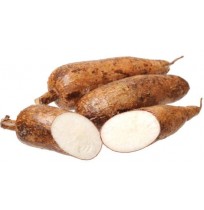 Tapioca 