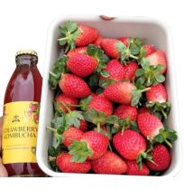 Kombucha -  Strawberry  (220 ML)
