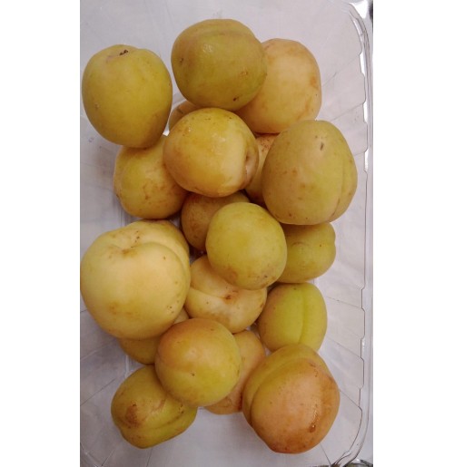 Apricot (from Himachal, 500gms)