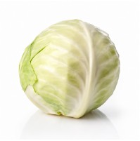 Cabbage