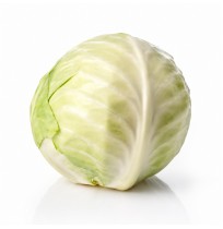 Cabbage