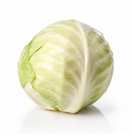 Cabbage