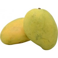 Mango - Chaunsa (Chausa) - Won't turn complete yellow