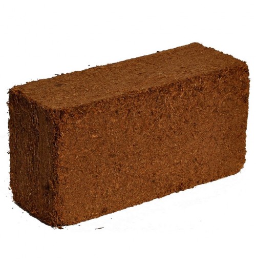 Coco Peat Brick (5kg)