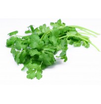 Ready to Use - Coriander - Root Cleaned (50gm  Box)