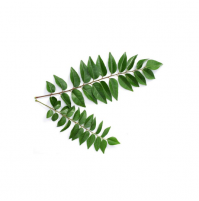 Curry Leaves (100gm Bunch)