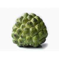 Custard Apple 