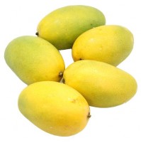 Mango - Dasheri (smaller sized, Will take 2-4 days to ripe)