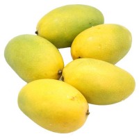 Mango - Dasheri (2-4 days to ripe)