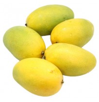 Mango - Dasheri (smaller sized, Will take 2-4 days to ripe)