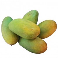Mango - Dasheri from Lucknow (Will ripen in 3-4 days)