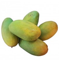 Mango - Dasheri from Lucknow (Will ripen in 2-3 days)