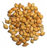 Coriander seeds (Dhania whole) 