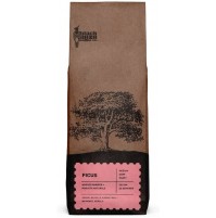 Filter Coffee - Ficus (Washed Arabica + Robusta Naturals, 250Gms)