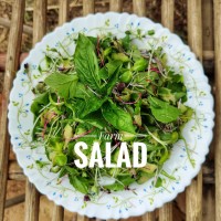 *Farm Salad Box  (200gms)  (by Satva Farm)
