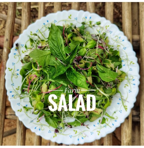 *Farm Salad Box  (200gms)  (by Satva Farm)