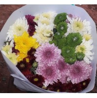 Assorted Flowers for Pooja or Home