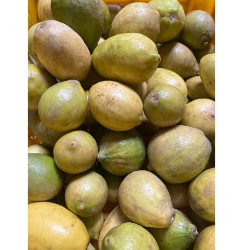 Gondhraj Lemons (from Bihar) 