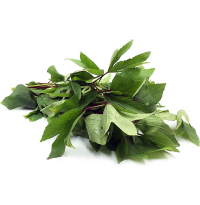 Gongura Leaves Bunch (Sorrel)