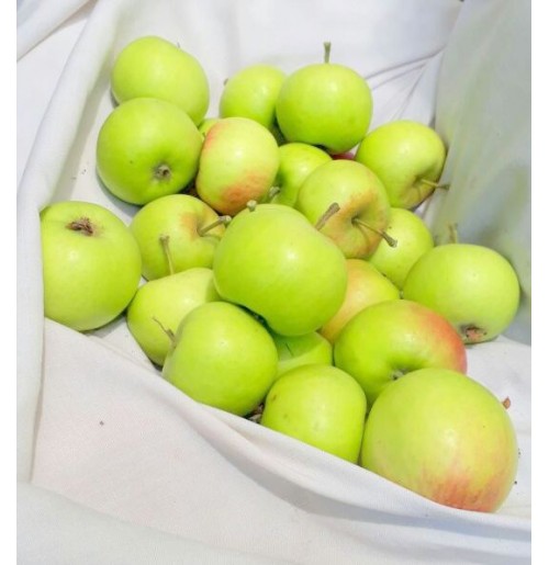 Apples - Green (Granny Smith)