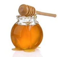 Raw Forest Honey (Glass Bottle)