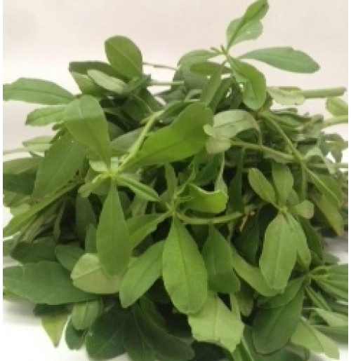 Basalle Soppu (Sambar Cheera/ Ceylon Spinach)