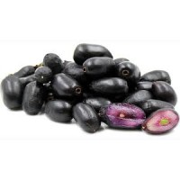 Jamun