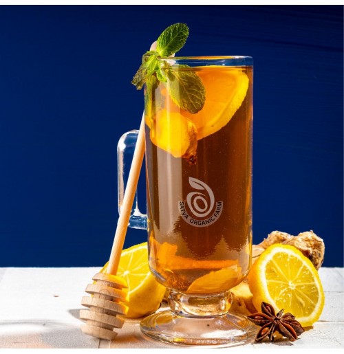 *WATER Kefir - Organic Lemon-Ginger-Honey (Probiotic, 350 ml, Satva Farm)