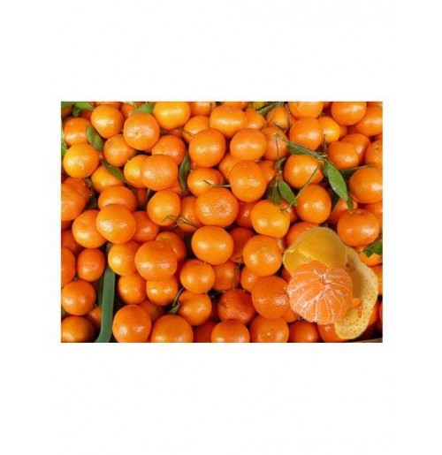 Mini Mandarin Orange (500g)
