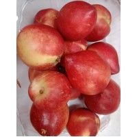 Nectarin (from Himachal, 200gms)