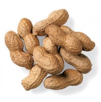 Fresh Groundnut with Shell