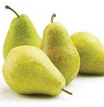 Pear from Jammu (Hardy Skin)