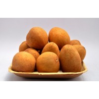 *Sapota / Chikoo (Satva)
