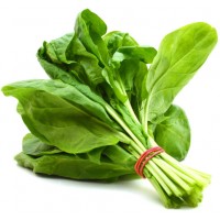 Spinach (Palak)