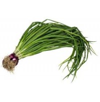 Spring Onion