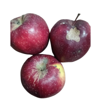 UGLY Organic Misfit Apples 