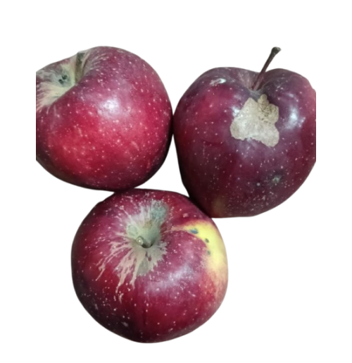 UGLY Organic Misfit Apples 