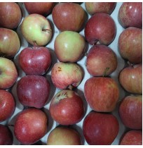 Apple - Spur (Medium/ Small from Shimla)