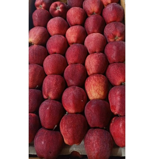 Apples - from Kinnaur (Medium Size)