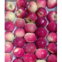 Apples - Tideman Variety (Med/ Small)