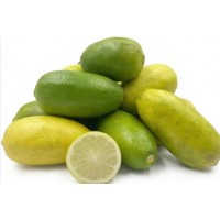 Assam Lemon (Kaji Nemu)