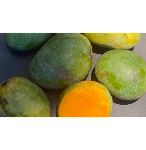 Mango - Bombaiya (Does not Yellow)