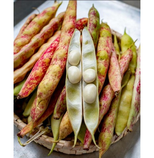 Butter Beans (Lima Beans) - SHELLED (250gms, Packed in Ziplock)