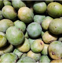Mango - Chakrakutty 