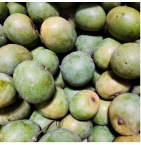 Mango - Chakrakutty 